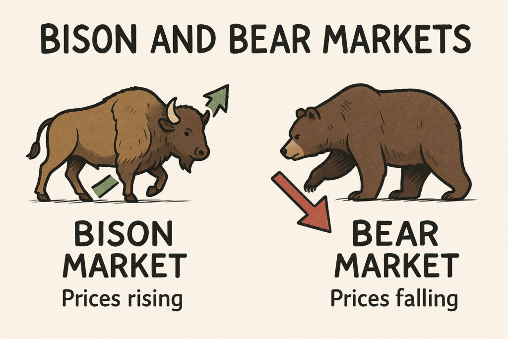 BISON | BEAR | STOCK MARKET